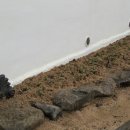 정토환경 이미지