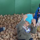 우드볼장 이미지