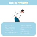 척추가 중심 이미지