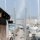 언니네해물손칼국수 이미지