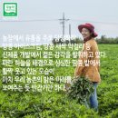 농부푸드 이미지