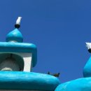 신안힐링 이미지