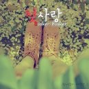 머리닷컴