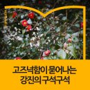 선학동민박 | 고즈넉함이 묻어나는 강진의 구석구석