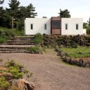 vivere 906 이미지