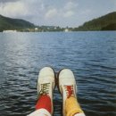 호크니의 휴식 이미지