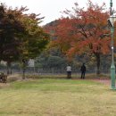 단성조명