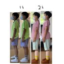 파우즈더바디