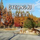 천년나무4단지작은도서관 | 경주 천년숲정원 단풍 명소 경북 늦가을 주말 나들이