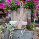 두레박갤러리 이미지