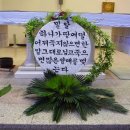밀알꽃꽂이 이미지