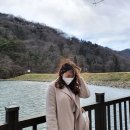 세량제 | 광주근교 화순 세량제 강아지 동반 후기 아직 꽃은 없어요 (3월 1일)