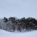설야 이미지