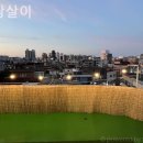 사당살이