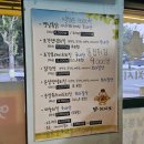 닭치시오 이미지