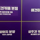 약지애견카페 서창점 이미지