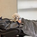 견생묭실 이미지