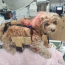 올리브병원 이미지