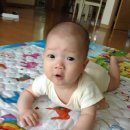 현서농장 이미지