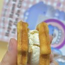 하모 인 진주 이미지
