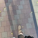 도쿄여행 고고투어 후지산 버스투어 원양가이드님 추천❤️ 내돈내산 후기