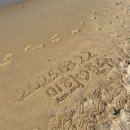 중앙장 | 25.03.22~23 속초여행