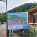 별마로빌리지캠핑장 | 영월 캠핑장 별마로빌리지 캠핑장