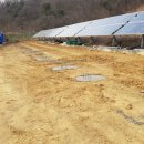 세연태양광발전소 이미지