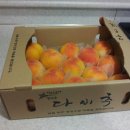 후니농장 네이버블로그