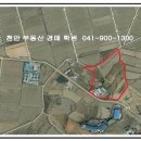 인주중학교 이미지