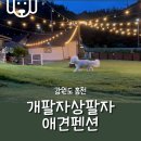 개팔자상팔자 - 안산시 단원구 석수로4길 15 | [강원도 홍천] 개팔자상팔자 애견펜션 1박 2일 가족여행 추천(개별 바비큐,야외수영장)