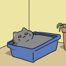 팔레트 스테이