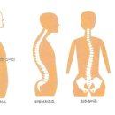에이블방역