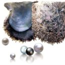 사랑이 머무는 둥지 이미지