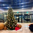 호텔에어시티제주 | 제주공항 근처 숙소 추천 호텔에어시티 제주 저녁 비행기 0.5박 묵기 좋았던 곳