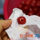 앵두청과 이미지