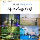 미디어월 퍼포먼스 ''''빛(licht)'''' | 3월 봄 여수 여행 가볼만한곳 아쿠아플라넷 미디어아트 아쿠아리움 후기