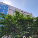 역사논술지도사 양성과정 이미지