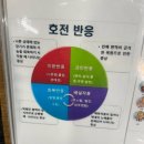 오아오헤어룸 대구수성점 에스테틱에서 대구 신부관리