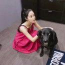 플레이먼트