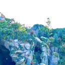 dream of m | 파리 디즈니랜드 겨울왕국 테마존 드디어 개장｜도쿄·홍콩 프로즌존 후기