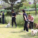 공식접수센타 이미지