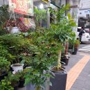 수원시 팔달구 팔달문로81번길 이미지