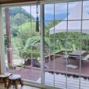 매화골향기 이미지