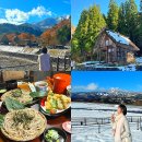 버스 | 나고야 시라카와고 12월 날씨 다카야마 버스투어 후기