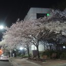 덕진구청 이미지