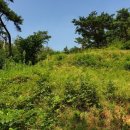 조촌보건진료소 이미지