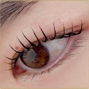 다인뷰티 이미지