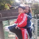 선유목장 이미지