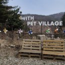 A동 | 횡성 애견동반 펜션 위드펫빌리지 블루A동 후기 (라떼랑 다녀온 강원도 여행)